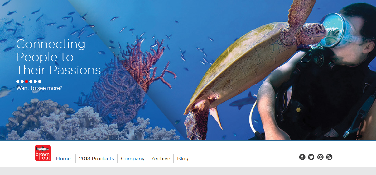 Ecommerce Magento website